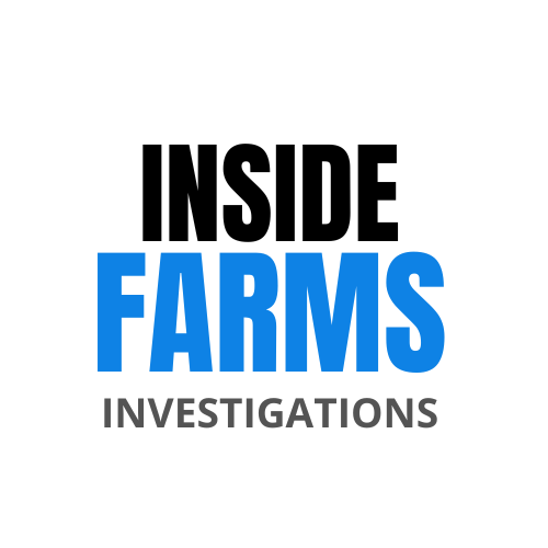 logo main